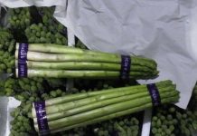 又爆食安!730公斤泰國「蘆筍」農藥違規 義大利「乾酪」菌超標 又爆食安!730公斤泰國「蘆筍」農藥違規 義大利「乾酪」菌超標 5