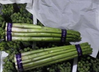 又爆食安!730公斤泰國「蘆筍」農藥違規 義大利「乾酪」菌超標 又爆食安!730公斤泰國「蘆筍」農藥違規 義大利「乾酪」菌超標 5